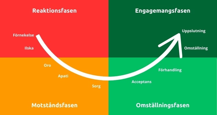 Reaktionsfasen-1