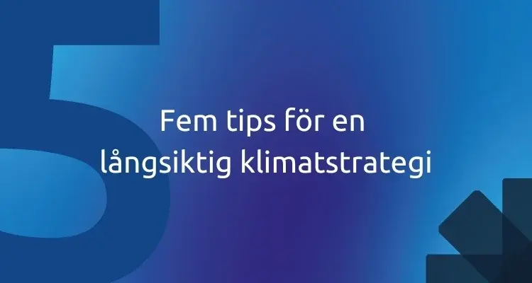 Fem tips för en långsiktig klimatstrategi